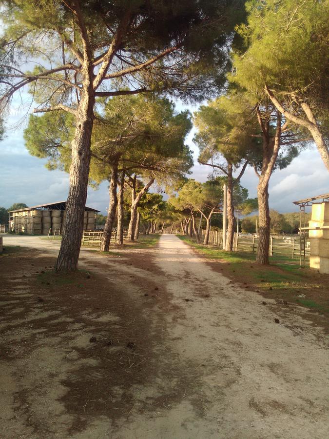 Biocampus La Roccaccia - Universita' Agraria Di Tarquinia Exterior photo